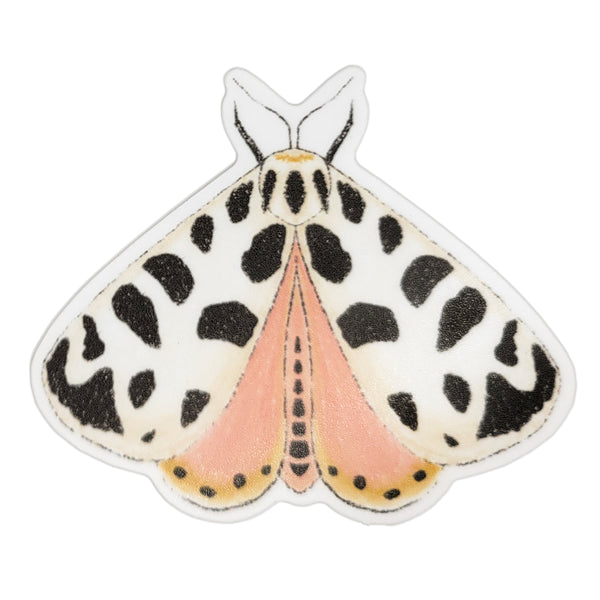 Pink and Black Moth Vinyl Sticker, 3" Waterproof Water Bottle Sticker, Matte