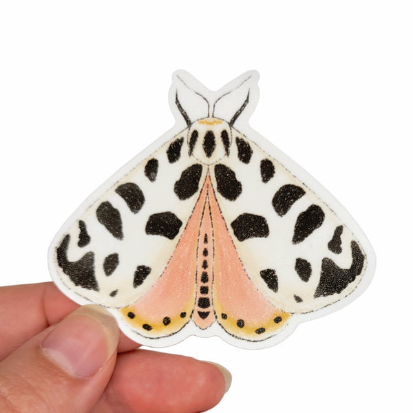 Pink and Black Moth Vinyl Sticker, 3" Waterproof Water Bottle Sticker, Matte