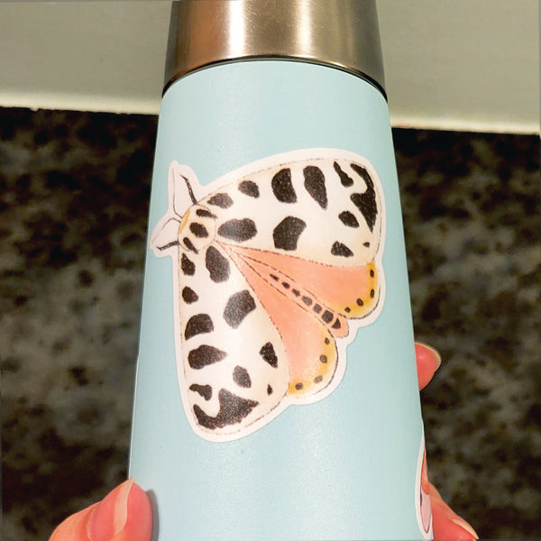 Pink and Black Moth Vinyl Sticker, 3" Waterproof Water Bottle Sticker, Matte