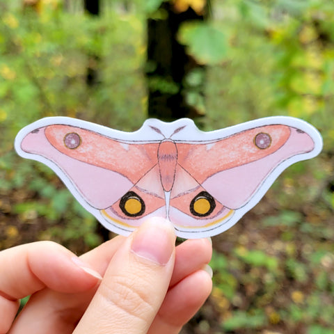 Luna Moth Vinyl Sticker, 3", Waterproof Water Bottle Sticker, Matte